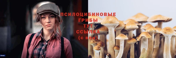 меф Володарск